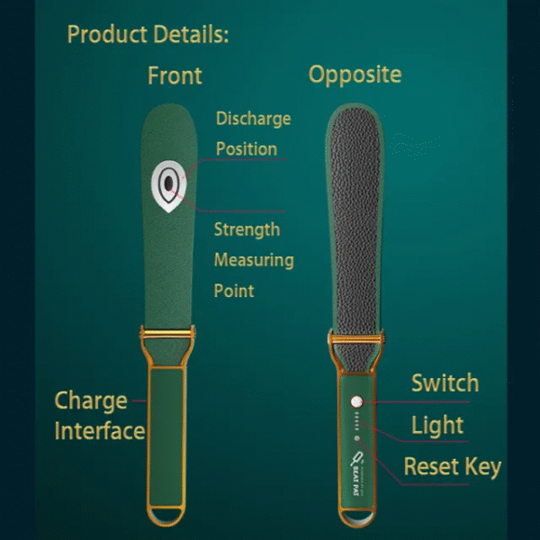 QIUI Beat Pat Electric Shock Leather Spanking Paddle