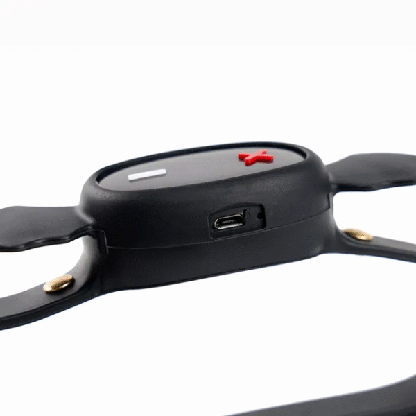 QIUI Love Devil APP Control Estim Silicone Collar