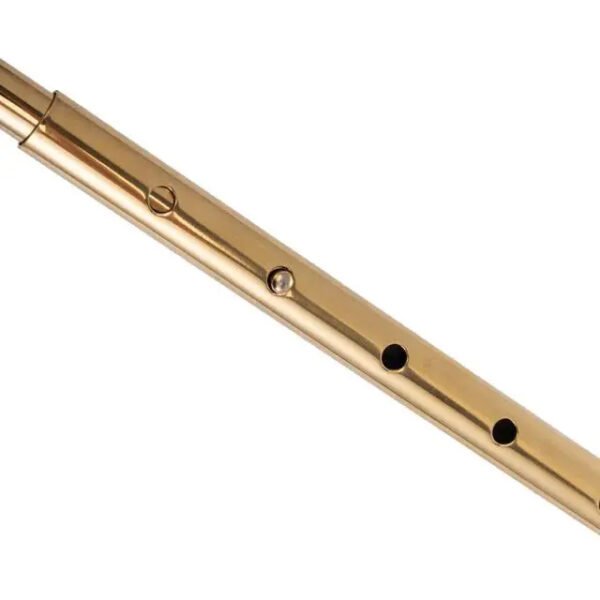LOCKINK Adjustable Golden Anal Hooka
