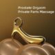 SEVANDA Woodpecker Metal Prostate Massager